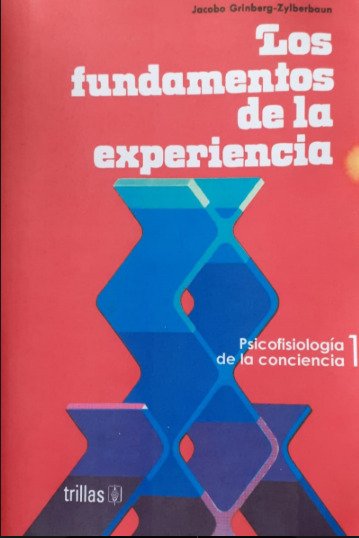 Los fundamentos de la experiencia pdf